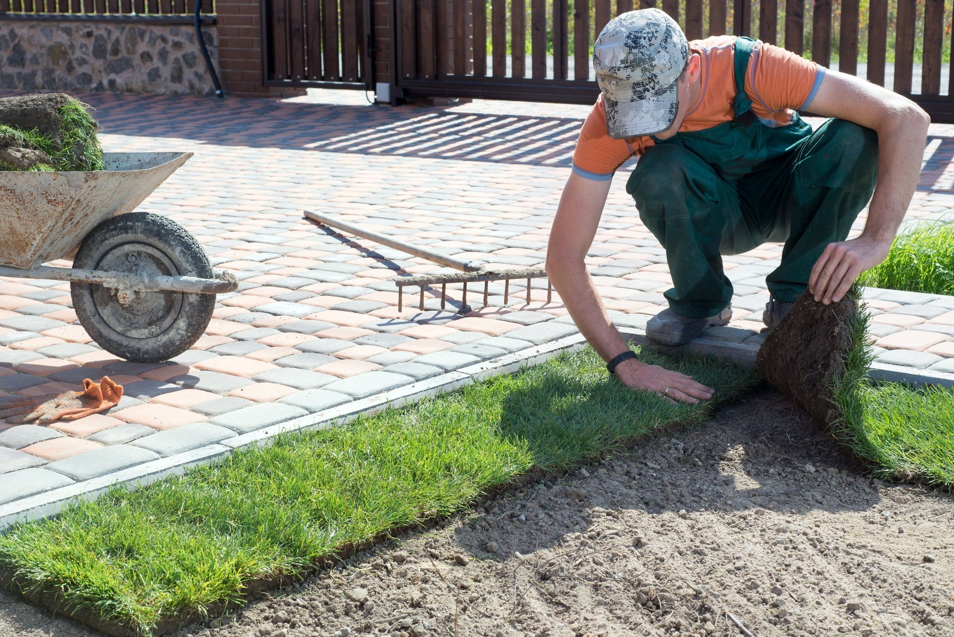 Natural Grass Turf Professional Installer. Gardener Installing Natural Grass Turfs Creating Beautiful Lawn Field.